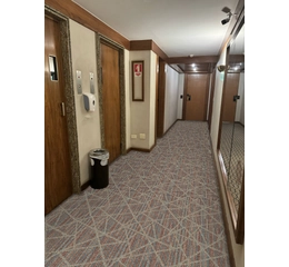 Carpete em Rolo - Nexo - Linha Vegas